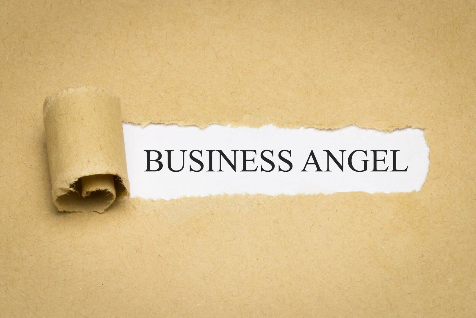 Business Angel - Lila Lions